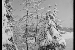 Karl_Max_Kessler_0075