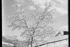 Karl_Max_Kessler_0083