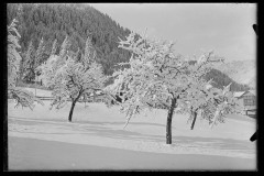Karl_Max_Kessler_0089