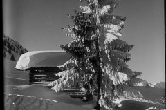 Karl_Max_Kessler_0641