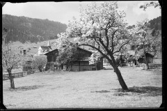 Karl_Max_Kessler_0973