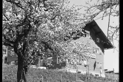 Karl_Max_Kessler_1095