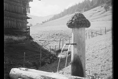 Brunnen aus Holz, dahinter ein Holzstall