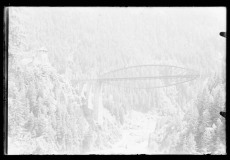 Brücke aus Stahl in großer Höhe, dahinter der Wald und darunter eine Straße