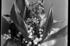 Karl_Max_Kessler_0821