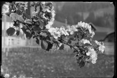 Karl_Max_Kessler_0836-2