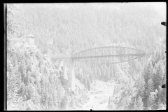 Brücke aus Stahl in großer Höhe, dahinter der Wald und darunter eine Straße