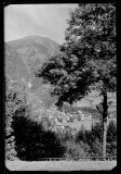 Blick durch einen Laubbaum auf Ortschaft mit Zentrum und Kirche von Wald und Bergen umgeben