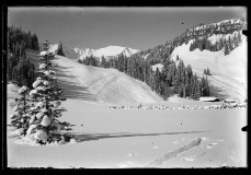 Dick verschneite Schneelandschaft, mit Fuß/-Skispuren, Wald, Hütten und Berggipfeln