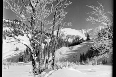 Karl_Max_Kessler_0004