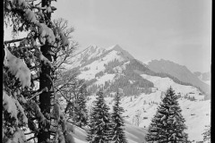 Karl_Max_Kessler_0194
