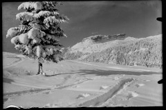 Karl_Max_Kessler_0276