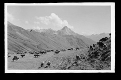 Karl_Max_Kessler_0956