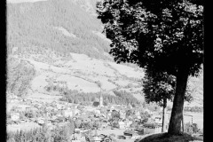 Blick durch einen Laubbaum auf Ortschaft mit Zentrum und Kirche von Wald und Bergen umgeben