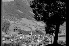 Blick durch einen Laubbaum auf Ortschaft mit Zentrum und Kirche von Wald und Bergen umgeben