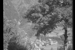 Blick durch einen Laubbaum auf Ortschaft mit Zentrum und Kirche von Wald und Bergen umgeben