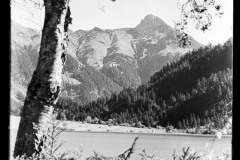 Blick durch einzelnen Baum auf den Haldensee umgeben von felsigen Bergen
