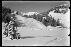 Dick verschneite Schneelandschaft, mit Fuß/-Skispuren, Wald, Hütten und Berggipfeln