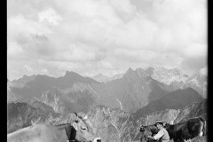 Kuhherde am Grasen dahinter steinige Bergkulisse, Bauer