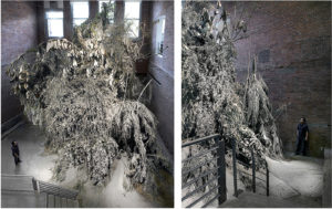 Brooks_David_image 01 David Brooks, Preserved Forest, 2010 - 2011, Amazonian nursery-grown trees, earth, concrete