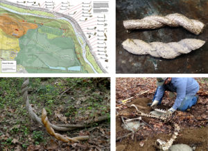 Brooks_David_image 09 David Brooks, Permanent Field Observation, 2018-ongoing, Thirty bronze castings of ephemeral natural objects within Storm King’s wooded perimeter, permanently affixed directly next to the subjects from which they were cast