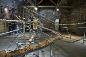 Brooks_David_image 15 David Brooks, Rock, Mosquito and Hummingbird: A Prehistory of Governors Island , 2017-2018