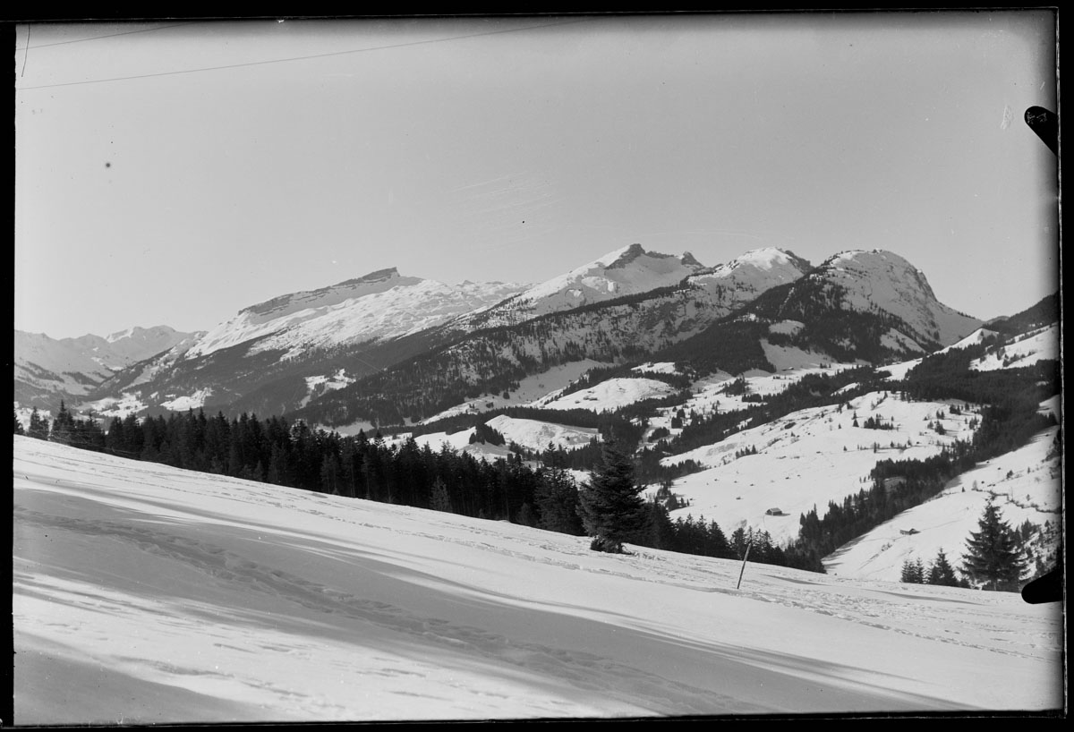 KMK-0534