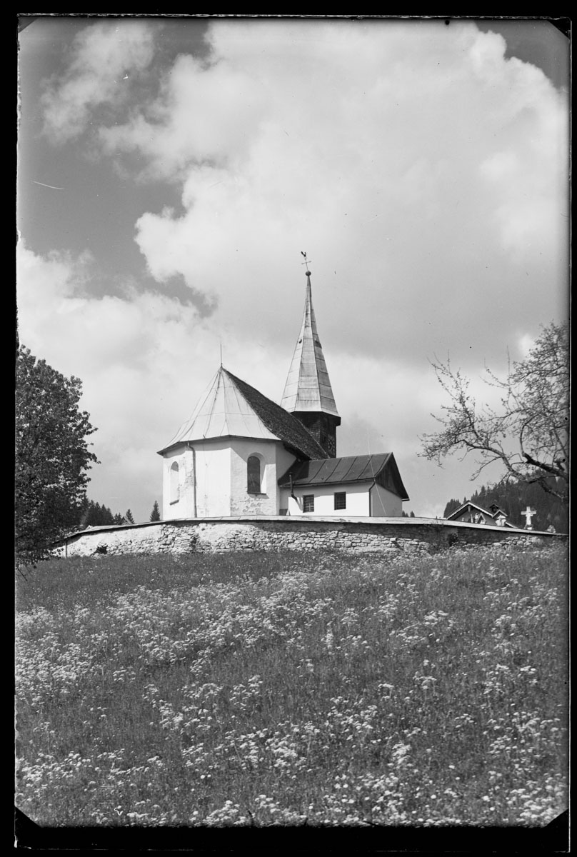 KMK-0976
