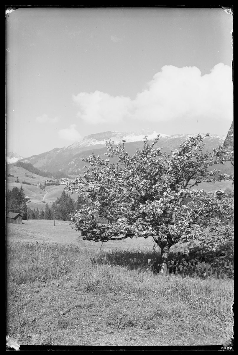 KMK-1286