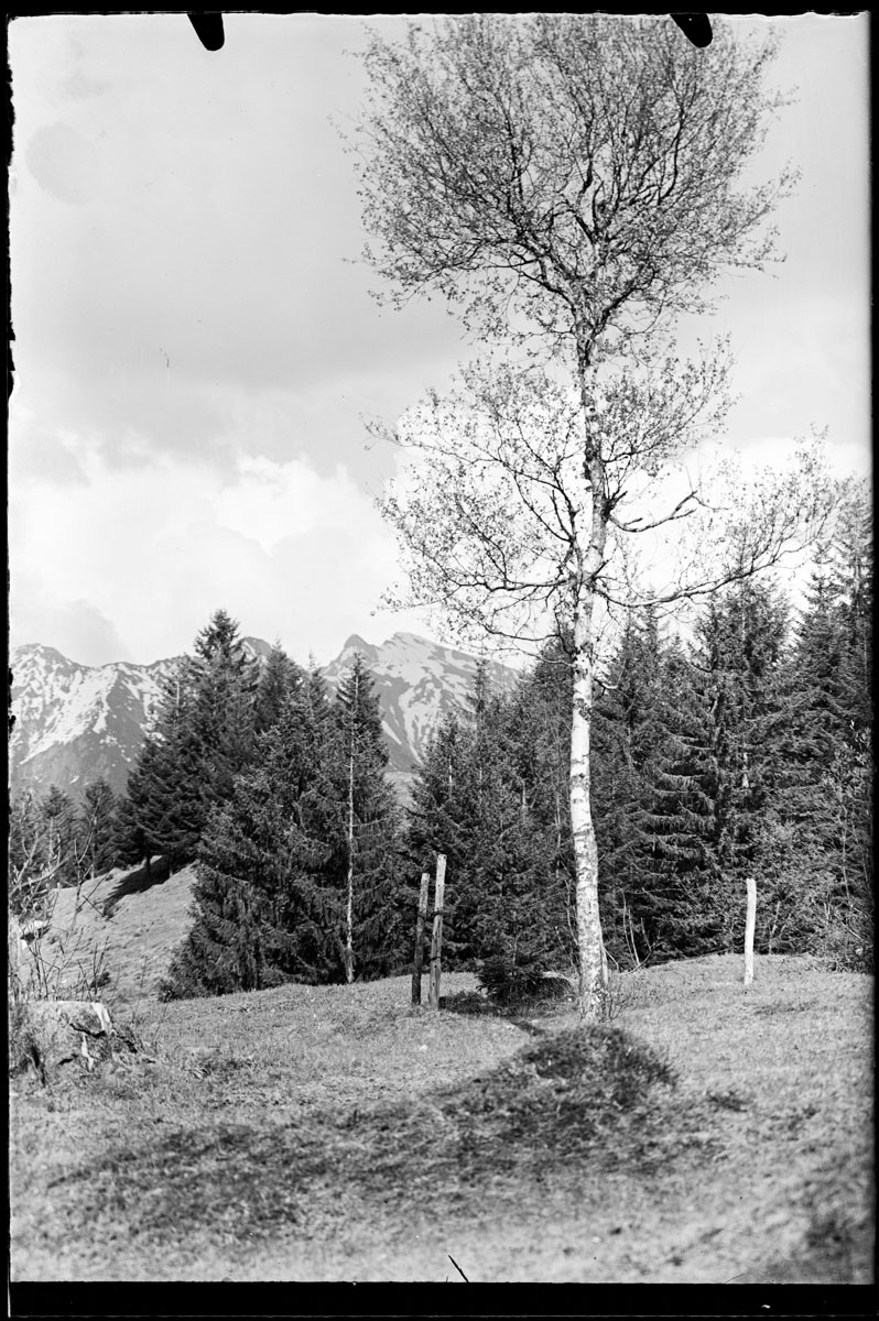 KMK-3143